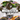 Xbox 360-Monster Jam Tweedehands