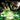 Xbox 360-MorphX Tweedehands