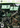 Xbox 360-Ninja Blade Tweedehands
