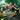 Xbox 360-Rugby League Live 2 Tweedehands