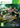 Xbox 360-Rugby League Live 2 Tweedehands