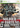 Xbox 360-Soldier of Fortune: Payback Tweedehands