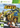 Xbox 360-Super Star Kartz Tweedehands