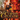 Xbox 360-The Cursed Crusade Tweedehands