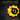 Xbox 360-The Serious Sam Collection Tweedehands