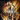 Xbox 360-Tomb Raider: Anniversary Tweedehands