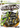 Xbox 360-World of Outlaws: Sprint Cars Tweedehands