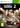 Xbox 360-WRC 2: FIA World Rally Championship Tweedehands