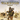 Xbox Classic-Full Spectrum Warrior Tweedehands
