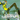 Xbox Classic-Jet Set Radio Future Tweedehands