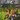 Xbox Classic-Outlaw Golf Tweedehands