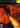 Xbox Classic-Reign of Fire Tweedehands