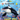 Xbox Classic-SeaWorld: Shamu's Deep Sea Adventures Tweedehands