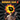Xbox Classic-Serious Sam II Tweedehands