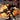 Xbox Classic-Shadow the Hedgehog Tweedehands