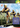 Xbox Classic-Tour de France Tweedehands