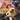 Xbox Classic-Wallace & Gromit in Project Zoo Tweedehands