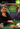 Xbox Classic-World Championship Poker 2 Tweedehands