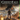 Xbox One-GreedFall Tweedehands