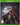 Xbox One-Immortal Realms: Vampire Wars Tweedehands