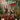 Xbox One-Jagged Alliance: Rage! Tweedehands