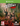 Xbox One-Jagged Alliance: Rage! Tweedehands