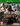 Xbox One-Metal Gear Survive Tweedehands