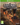 Xbox One-Railway Empire Tweedehands