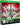 Xbox One-Rugby Challenge 3 Tweedehands