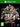 Xbox One-Rugby League Live 4 - World Cup Edition Tweedehands