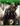 Xbox One-Ryse: Son of Rome Tweedehands