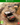 Xbox One-Sebastien Loeb Rally Evo Tweedehands