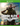 Xbox One-Sniper Elite 4 Tweedehands