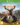 Xbox One-The Hunter: Call of the Wild Tweedehands