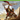 Xbox One-Titan Quest Tweedehands