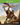 Xbox One-Titan Quest Tweedehands