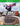 Xbox One-Tony Hawk 5 Tweedehands