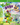 Xbox One-Yooka-Laylee Tweedehands