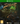 Xbox One-Ziggurat Tweedehands